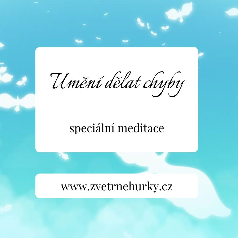 Umění dělat chyby